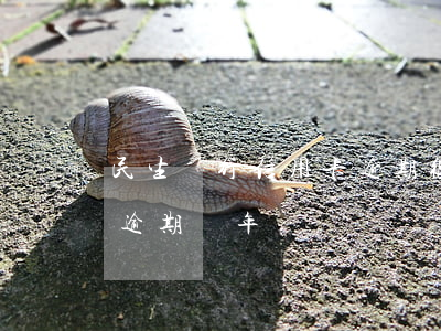 民生銀行信用卡逾期很多年(民生信用卡8萬逾期兩年)