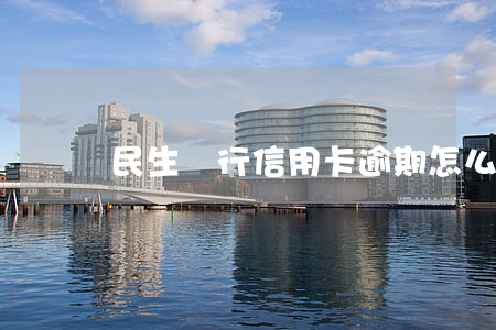 民生銀行信用卡逾期怎么清除