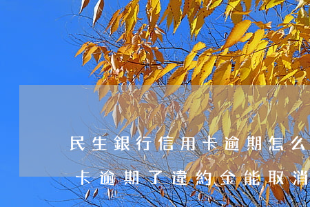 民生銀行信用卡逾期怎么還(民生銀行的信用卡逾期了違約金能取消嗎)
