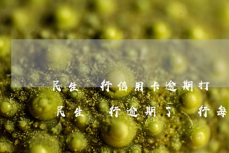 民生銀行信用卡逾期打聯(lián)系人(民生銀行逾期了銀行每天打電話 是不是每個(gè)都要接)