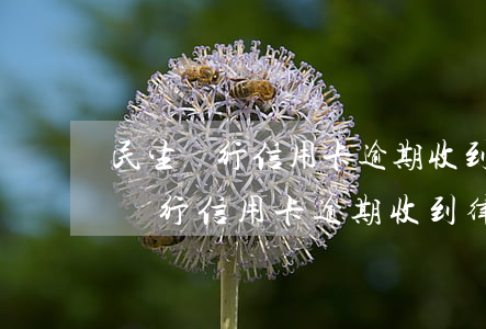 民生銀行信用卡逾期收到律師函怎么辦（民生銀行信用卡逾期收到律師函怎么辦）