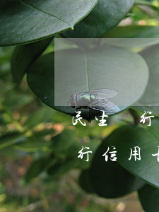 民生銀行信用卡逾期是民事糾紛嗎-民生銀行信用卡逾期是民事糾紛嗎怎么處理