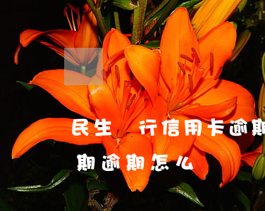 民生銀行信用卡逾期會怎么樣（民生信用卡分期逾期怎么還）