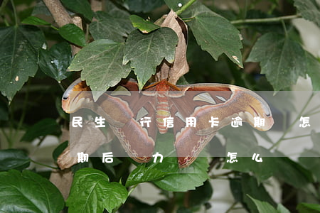 民生銀行信用卡逾期會怎么樣（民生信用卡逾期后無力償還怎么辦）