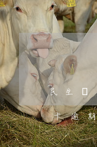 民生銀行信用卡逾期會怎樣催（民生銀行信用卡逾期會怎樣催）