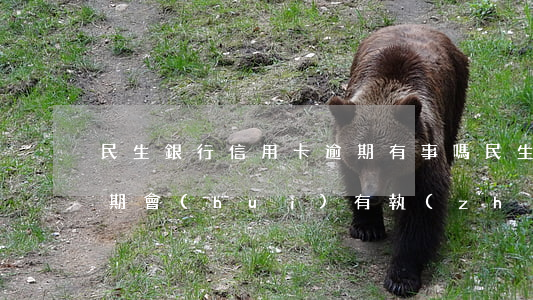 民生銀行信用卡逾期有事嗎(民生銀行信用逾期會(huì)有執(zhí)法部門上門嗎)