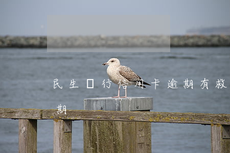 民生銀行信用卡逾期有救助嗎(民生貸貸卡逾期)