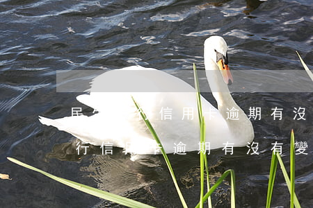 民生銀行信用卡逾期有沒有變呆賬-民生銀行信用卡逾期有沒有變呆賬的可能