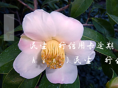 民生銀行信用卡逾期標(biāo)準(zhǔn)(民生銀行信用卡逾期多久會起訴民生銀行信用卡逾期8年)