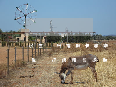 民生銀行信用卡逾期無法協(xié)商(民生銀行信用卡逾期無法協(xié)商還款)