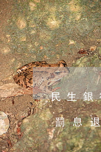 民生銀行信用卡逾期罰息怎么減免(民生銀行罰息退回)