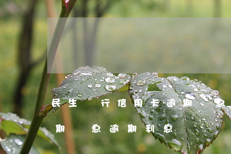 民生銀行信用卡逾期罰息是多少-信用卡 逾期罰息 逾期利息
