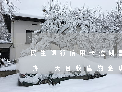 民生銀行信用卡逾期罰款(民生銀行信用卡逾期一天會收違約金嗎)
