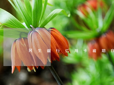 民生銀行信用卡逾期自首