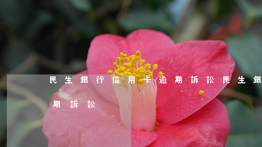民生銀行信用卡逾期訴訟(民生銀行信用卡逾期訴訟)