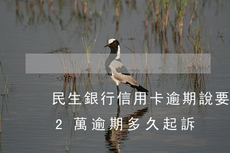 民生銀行信用卡逾期說要被起訴(民生信用卡2萬逾期多久起訴)