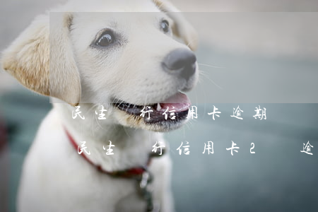 民生銀行信用卡逾期資產(chǎn)保全(民生銀行信用卡2萬逾期3年)