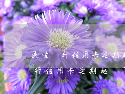 民生銀行信用卡逾期起訴了怎么辦-民生銀行信用卡逾期起訴了怎么辦理