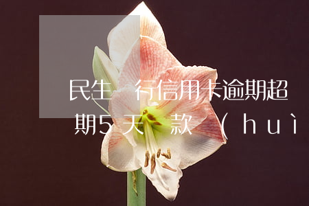 民生銀行信用卡逾期超過5萬(民生銀行卡逾期5天還款會(huì)不會(huì)上征信)