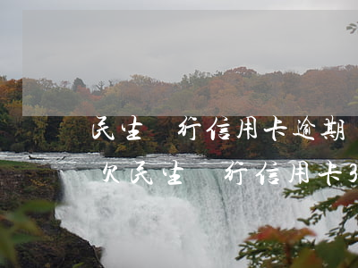 民生銀行信用卡逾期還不上錢(qián)(欠民生銀行信用卡30萬(wàn),還不出來(lái)怎么辦)