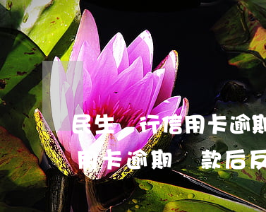民生銀行信用卡逾期還款后反悔(民生銀行信用卡逾期還款后反悔了怎么辦)
