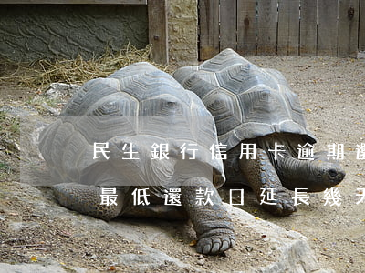 民生銀行信用卡逾期還款寬限期-民生銀行最低還款日延長幾天不算逾期
