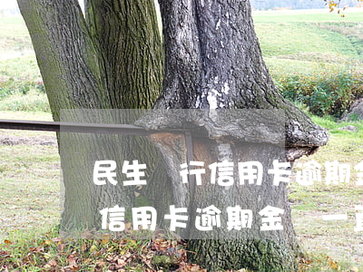 民生銀行信用卡逾期金額一直漲-民生銀行信用卡逾期金額一直漲怎么辦