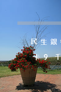 民生銀行信用卡逾期銀行上訴(民生銀行信用卡9千起訴)