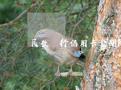 民生銀行信用卡逾期限制時間