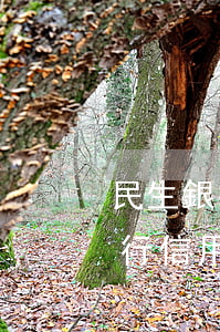 民生銀行信用卡過了一天算逾期嗎-民生銀行信用卡過了一天算逾期嗎怎么辦
