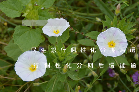 民生銀行個性化分期后還能逾期嗎-民生銀行個性化分期后還能逾期嗎