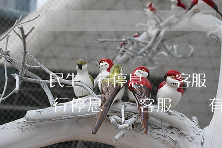民生銀行停息掛賬客服說沒有政策-民生銀行停息掛賬客服說沒有政策怎么辦