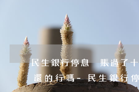 民生銀行停息掛賬過了十二點(diǎn)還的行嗎-民生銀行 停息掛賬