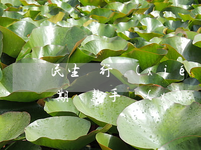 民生銀行協(xié)商個(gè)性化分期還款手續(xù)費(fèi)-民生銀行協(xié)商個(gè)性化分期還款手續(xù)費(fèi)多少