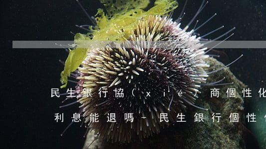 民生銀行協(xié)商個性化分期期間的利息能退嗎-民生銀行個性化分期是否好協(xié)商
