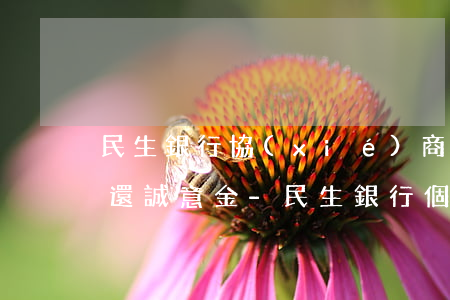 民生銀行協(xié)商個性化分期,要求先還誠意金-民生銀行個性化分期是否好協(xié)商
