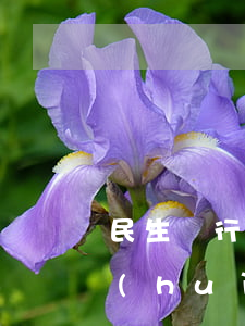民生銀行卡逾期5天還款會(huì)不會(huì)上征信（民生銀行信用卡逾期2年了怎么辦）