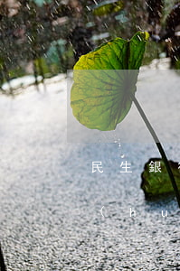 民生銀行卡逾期5天還款會(huì)不會(huì)上征信（民生銀行信用卡逾期有什么政策）