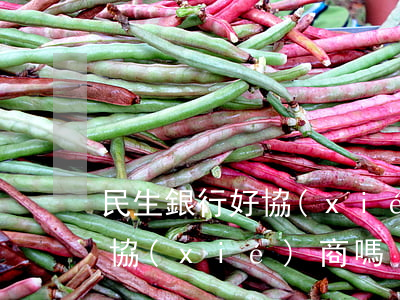 民生銀行好協(xié)商嗎-民生銀行好協(xié)商嗎?