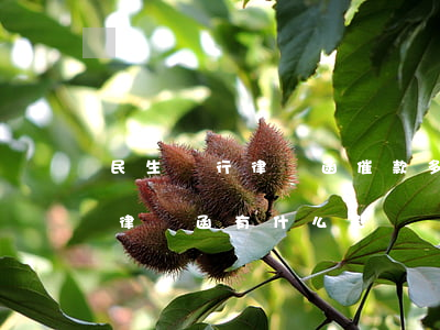 民生銀行律師函催款多久才起訴(民生銀行寄律師函有什么影響)