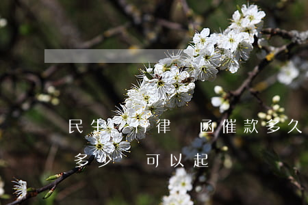 民生銀行律師函催款多久才起訴(民生銀行欠多少錢可以起訴)