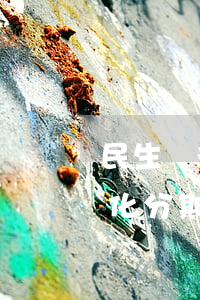 民生銀行怎么協(xié)商個(gè)性化分期還款-民生銀行協(xié)商個(gè)性化分期還款手續(xù)費(fèi)