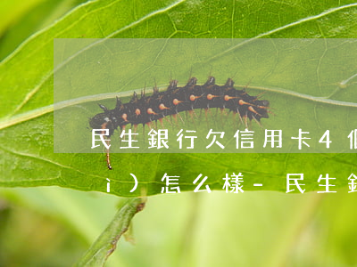 民生銀行欠信用卡4個(gè)月會(huì)怎么樣-民生銀行欠信用卡4個(gè)月會(huì)怎么樣啊