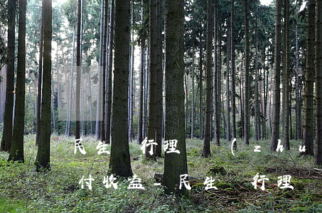 民生銀行理財轉(zhuǎn)讓逾期未兌付收益-民生銀行理財轉(zhuǎn)讓逾期未兌付收益怎么辦