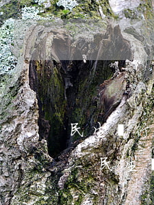 民生銀行申請個性化分期還需要首付款資料-民生銀行辦理個性化分期用不用先交誠意金
