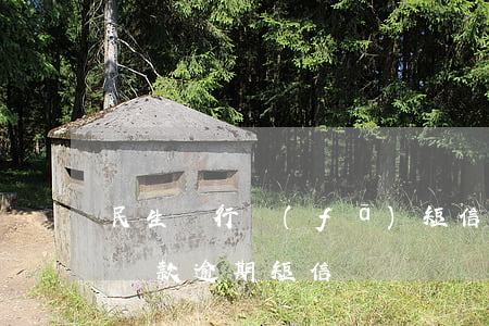 民生銀行發(fā)短信貸款逾期(收到民生貸款逾期短信)
