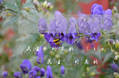 民生銀行真的會(huì)起訴信用卡逾期嗎-民生銀行真的會(huì)起訴信用卡逾期嗎知乎
