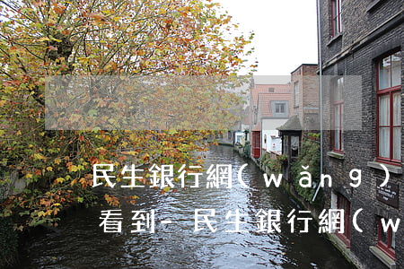 民生銀行網(wǎng)樂貸還款明細哪里看到-民生銀行網(wǎng)樂貸還款明細哪里看到的