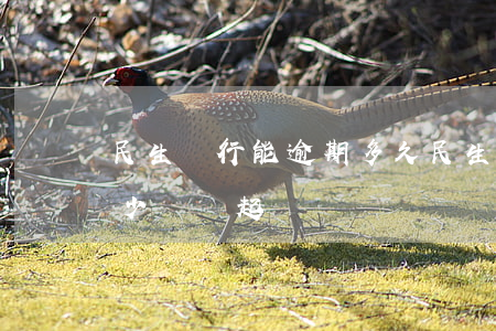 民生銀行能逾期多久（民生銀行信用卡逾期多少錢會起訴）