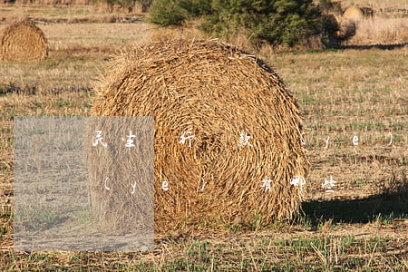 民生銀行貸款業(yè)務(民生銀行貸款業(yè)務有哪些)